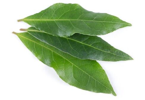 Το NEOflorax περιέχει φύλλο δάφνης